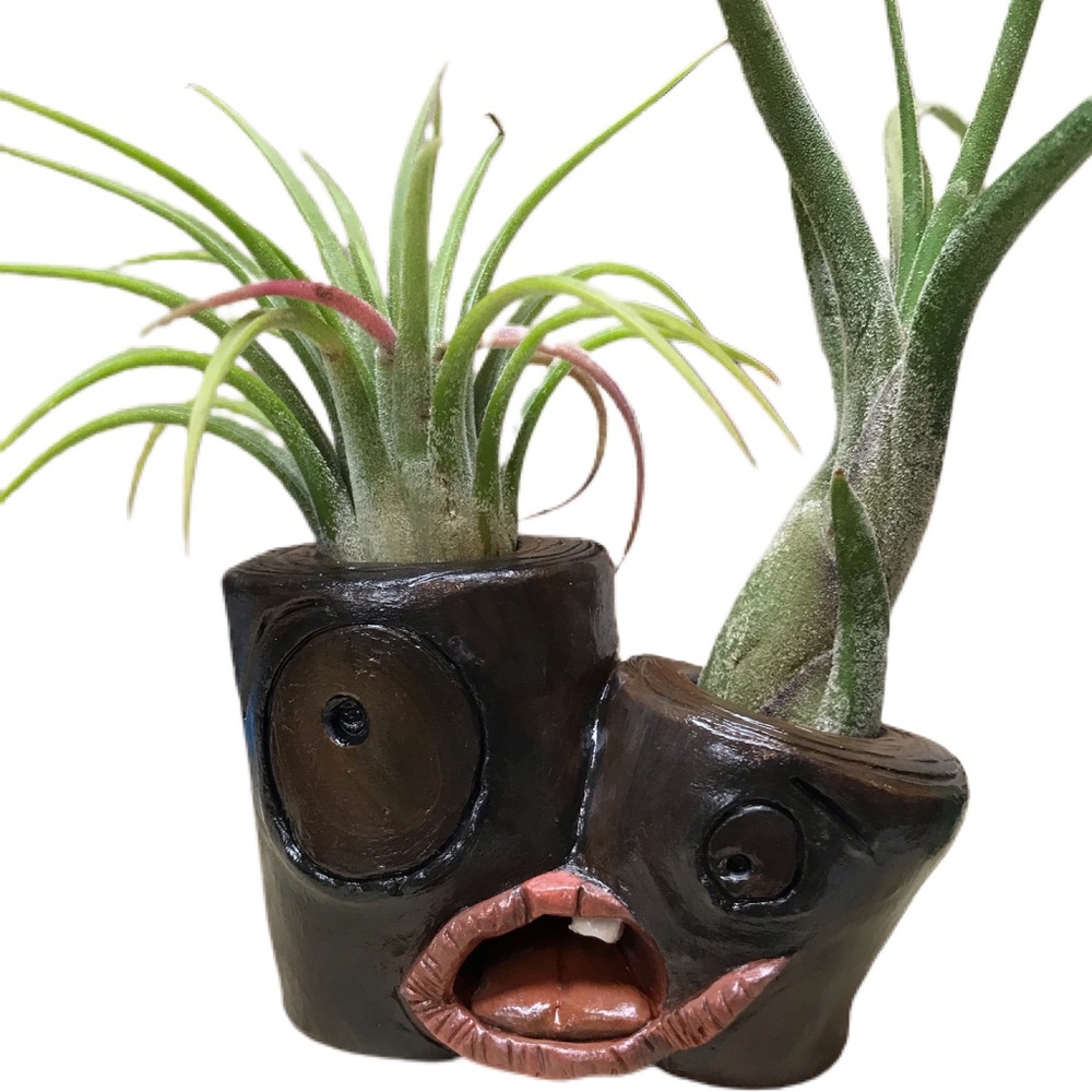 🛑SOLD🛑Handmade airplant holder